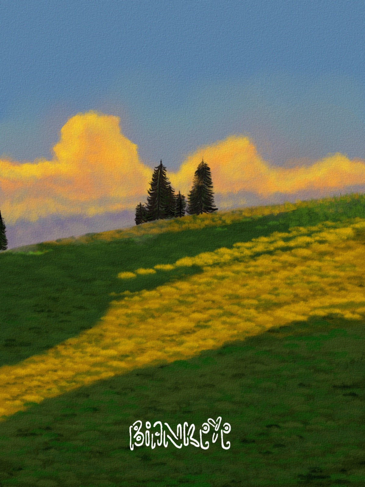 Biankeye Designs — client-supplied artwork